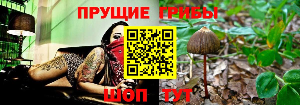 Галлюциногенные грибы прущие грибы Мыски